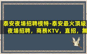 泰安夜場招聘模特-泰安最火頂級夜場招聘，商務KTV，直招，無