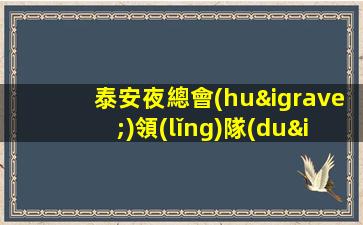 泰安夜總會(huì)領(lǐng)隊(duì)招聘直招最新招聘消息等你來賺泰安