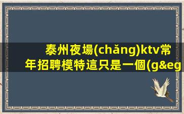 泰州夜場(chǎng)ktv常年招聘模特這只是一個(gè)起點(diǎn)每天保底拿