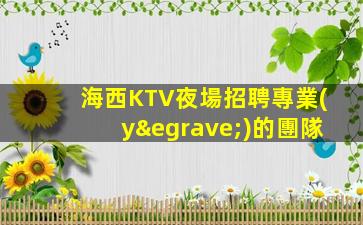 海西KTV夜場招聘專業(yè)的團隊