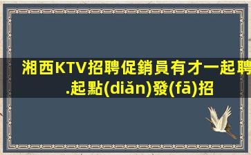 湘西KTV招聘促銷員有才一起聘.起點(diǎn)發(fā)招聘