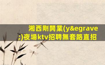 湘西剛開業(yè)夜場ktv招聘無套路直招