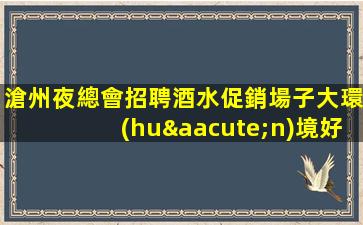 滄州夜總會招聘酒水促銷場子大環(huán)境好