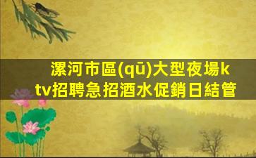漯河市區(qū)大型夜場ktv招聘急招酒水促銷日結管