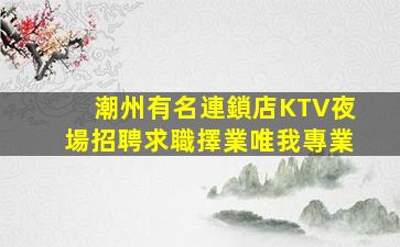 潮州有名連鎖店KTV夜場招聘求職擇業唯我專業
