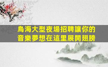 烏海大型夜場招聘讓你的音樂夢想在這里展開翅膀