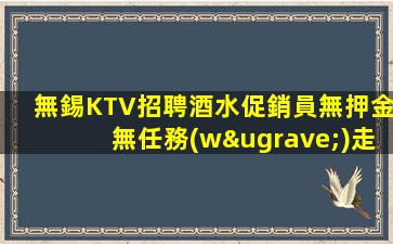 揭陽酒吧招聘