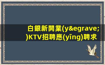 白銀新開業(yè)KTV招聘應(yīng)聘求職工作