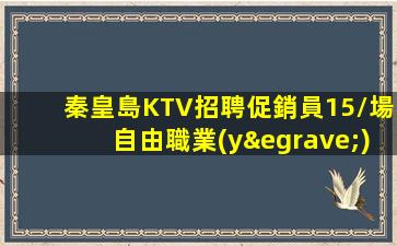 秦皇島KTV招聘促銷員15/場自由職業(yè)者的優(yōu)勢