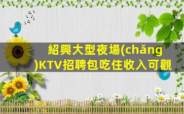 紹興大型夜場(chǎng)KTV招聘包吃住收入可觀