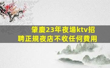 濮陽夜總會招聘