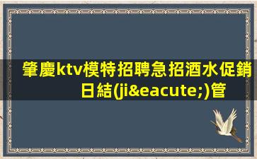 肇慶ktv模特招聘急招酒水促銷日結(jié)管