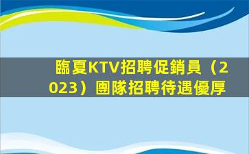 臨夏KTV招聘促銷員（2023）團隊招聘待遇優厚