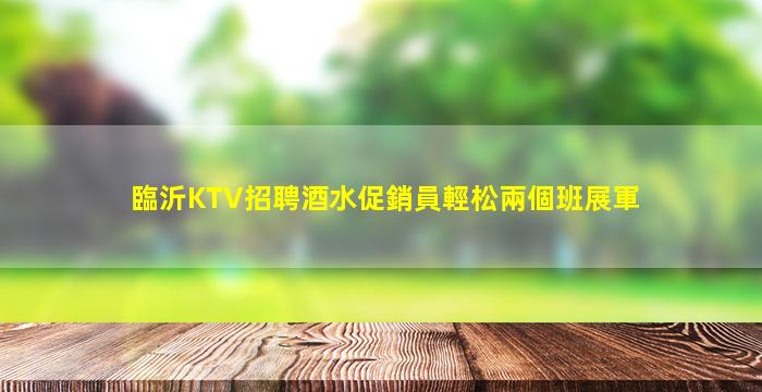 臨沂KTV招聘酒水促銷員輕松兩個班展軍