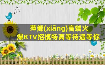 萍鄉(xiāng)高端火爆KTV招模特高等待遇等你