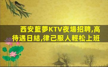 商丘酒吧招聘
