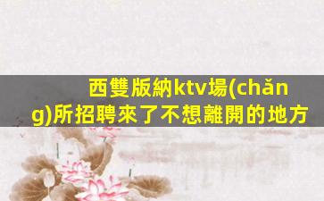 西雙版納ktv場(chǎng)所招聘來了不想離開的地方
