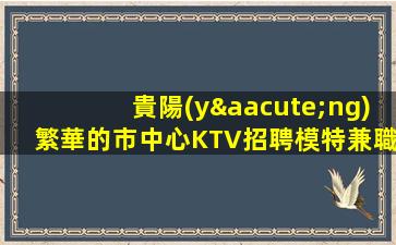 貴陽(yáng)繁華的市中心KTV招聘模特兼職人員