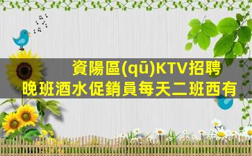 資陽區(qū)KTV招聘晚班酒水促銷員每天二班西有