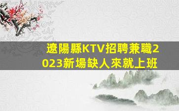 遼陽縣KTV招聘兼職2023新場缺人來就上班