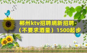 郴州ktv招聘網新招聘-（不要求酒量）1500起步