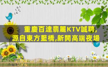 重慶百達翡麗KTV誠聘,源自東方藍橋,新開高端夜場