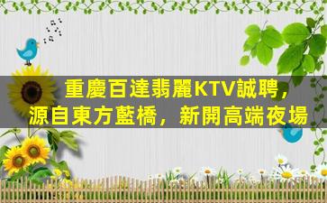 重慶百達翡麗KTV誠聘，源自東方藍橋，新開高端夜場