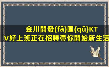 金川開發(fā)區(qū)KTV好上班正在招聘帶你開始新生活