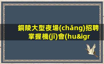 銅陵大型夜場(chǎng)招聘掌握機(jī)會(huì).尋找屬于自己的舞臺(tái)