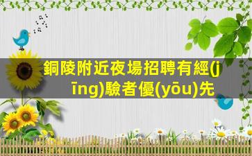 銅陵附近夜場招聘有經(jīng)驗者優(yōu)先