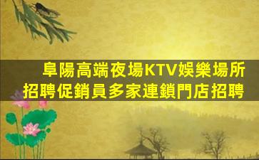 阜陽高端夜場KTV娛樂場所招聘促銷員多家連鎖門店招聘