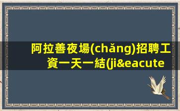 阿拉善夜場(chǎng)招聘工資一天一結(jié)算