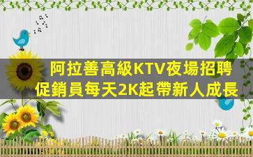 阿拉善高級KTV夜場招聘促銷員每天2K起帶新人成長