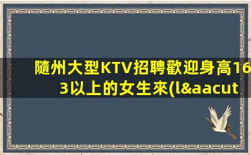 北海酒吧招聘