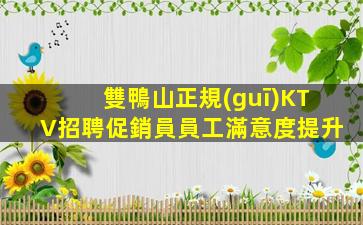 雙鴨山正規(guī)KTV招聘促銷員員工滿意度提升