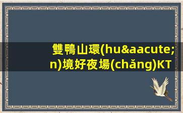 雙鴨山環(huán)境好夜場(chǎng)KTV招聘免費(fèi)咨詢(xún)免費(fèi)考察