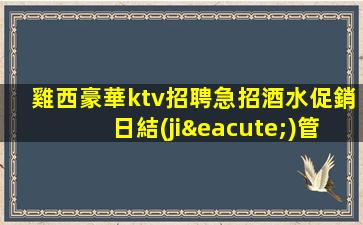 雞西豪華ktv招聘急招酒水促銷日結(jié)管