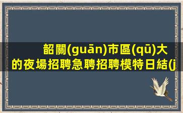韶關(guān)市區(qū)大的夜場招聘急聘招聘模特日結(jié)