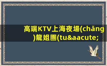 高端KTV上海夜場(chǎng)龍姐團(tuán)隊(duì)直招