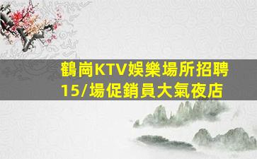 鶴崗KTV娛樂場所招聘15/場促銷員大氣夜店