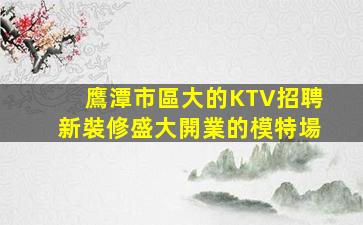鷹潭市區大的KTV招聘新裝修盛大開業的模特場