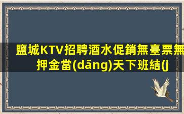鹽城KTV招聘酒水促銷無臺票無押金當(dāng)天下班結(jié)相
