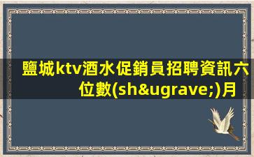 鹽城ktv酒水促銷員招聘資訊六位數(shù)月收入
