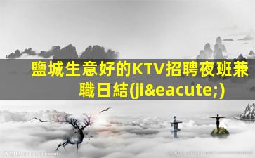 鹽城生意好的KTV招聘夜班兼職日結(jié)