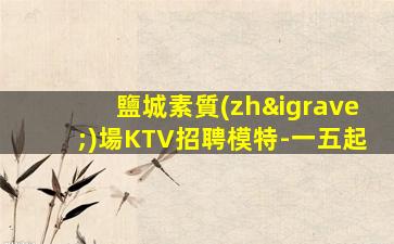 鹽城素質(zhì)場KTV招聘模特-一五起