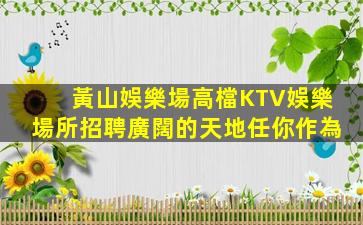 黃山娛樂場高檔KTV娛樂場所招聘廣闊的天地任你作為